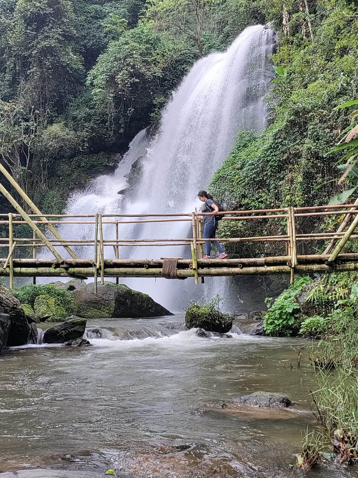 Doi Inthanon Nature Reserve, Chiang Mai
